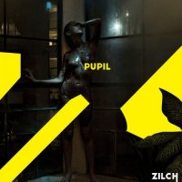 Pupil - Zilch (2015)