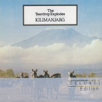 The Teardrop Explodes - Kilimanjaro [2010 Deluxe Edition] (1980)