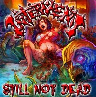 Interment - Still Not Dead (2013)  Lossless