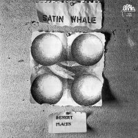 Satin Whale - Desert Places (1974)