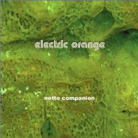 Electric Orange - Netto Companion [Web] (2015)  Lossless