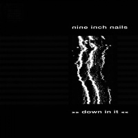 Nine Inch Nails - Down In It (HALO 1) (1989)