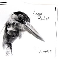 Large Bodies - Aromatics (2012)