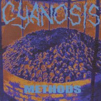 Cyanosis - Methods (1999)