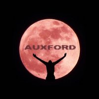 Auxford - Reflection 2014 (2014)