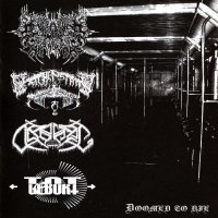 Beyond The Ninth Wave / Leichenstätte / Totgeburt / Obehag - Doomed To Die (Split) (2010)