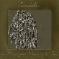 Tearsfallen - A Meaningful Moment in Time (2013)