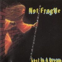 Not Fragile - Lost in a Dream (1993)