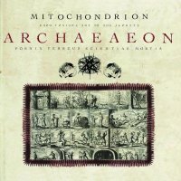 Mitochondrion - Archaeaeon (2008)