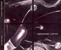 David Sylvian - Camphor [2CD Limited Edit.] (2002)  Lossless