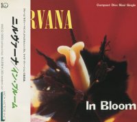 Nirvana - In Bloom (Japan) (1992)  Lossless