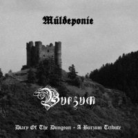 VA - Muldeponie - Diary Of The Dungeon - A Burzum Tribute (2013)