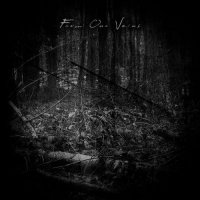 Final Thoughts & Endless Sorrow & Lost Inside - From Our Veins (Split) (2011)