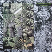 Camberwell Now - Greenfingers (1987)