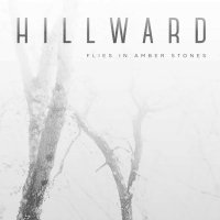 Hillward - Flies In Amber Stones (2015)