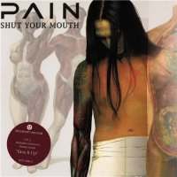 Pain - Seven Singles Collection (1999-2004)