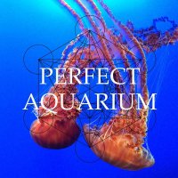 Perfect Aquarium - Perfect Aquarium (2015)