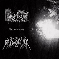 Heilnoz & Drengskapur - The Forest’s Arcanum (Split) (2015)