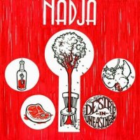 Nadja - Desire In Uneasiness (2008)