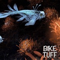 Bike Tuff - Into Shore (2013)