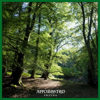 Afforested - Frithu (2016)