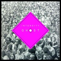 Chris Forsyth & The Solar Motel Band - Intensity Ghost (2014)