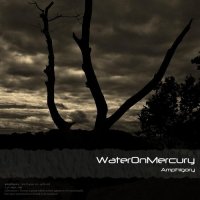 Water On Mercury - Amphigory (2013)