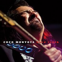 Coco Montoya - Hard Truth (2017)