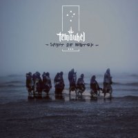 Temaukel - Spirit of Wintek (2016)