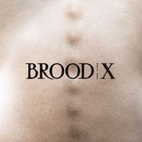 Boss Hog - Brood X (2017)