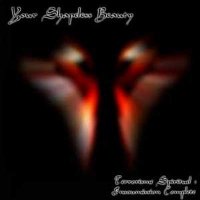 Your Shapeless Beauty - Terrorisme Spirituel (2001)