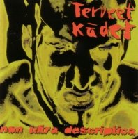 Terveet Kadet - Non Ultra Descriptica (2000)