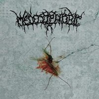 Medecophobic - Pandemic Of Existence (2011)  Lossless