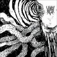 Viðr - Hedensk Skikk og Tro (2012)