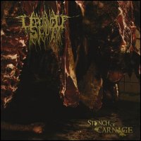 Deformed Slut - Stench of Carnage (2011)