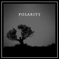 Polarity - Polarity (2011)