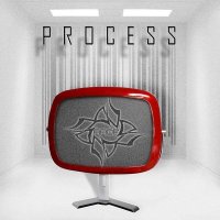 AADF - Process (2011)