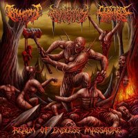 Traumatomy & Embryectomy & Cerebral Paralysis - Realms Of Endless Massacre (2015)