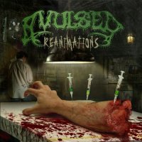 Avulsed - Reanimations (Compilation) (2006)  Lossless