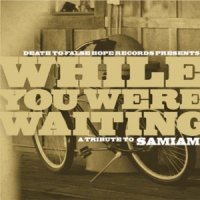While You Were Waiting - A Tribute To Samiam (2011)