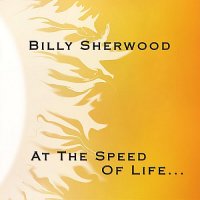 Billy Sherwood - At The Speed Of Life (2008)