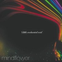 Mindflower - Little Enchanted Void (2009)