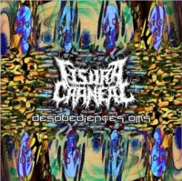 Fisura Craneal - Desobedientes Oms (2015)