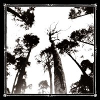 Ancestors Blood - When The Forest Calls (2009)