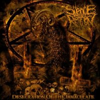 Silence Shall Return - Desecration Of The Immaculate (2011)