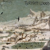 Birnam Wood - Birnam Wood (2014)