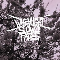 When Light Slowly Fades - Funeral Day (2014)