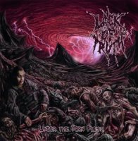 Lack Of Truth - Under The Torn Flesh (2013)