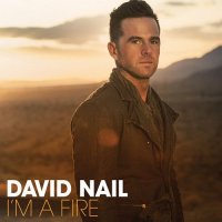 David Nail - I\'m A Fire (2014)