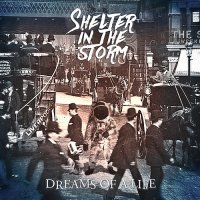 Shelter In The Storm - Dreams Of A Life (2017)